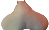 Preposterous emote