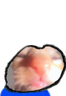 ughgi emote