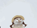 lilsis emote