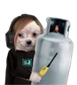 RenGas emote