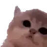 aaaaaaaaaaaaaaaaaa emote