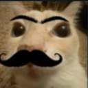 dosebigote