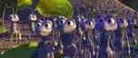 Ants