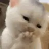 kichern emote