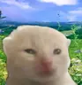 glorptism emote