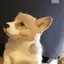 awooo