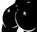 VenomBUSSERS
