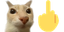 deo