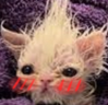 bleBlush emote