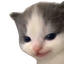 eheh