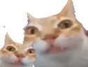 ermling emote