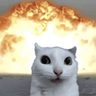 wegood emote