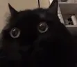 Nuh emote