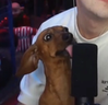 Larita emote