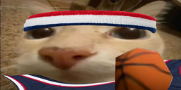 doseBallin