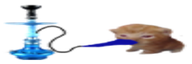 nargasbert