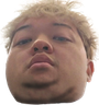 4Ton emote