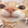 :3 emote
