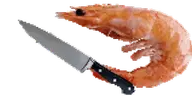 BritishShrimp emote