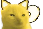 walorp emote