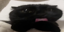 mlem