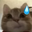 ermge