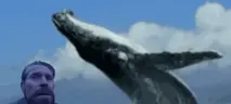 WHALE emote
