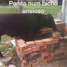 ANSIOSO emote