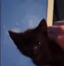 hello emote