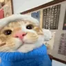 mlam emote