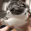 Shocked