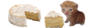 camembert