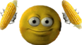CORNT