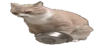@龜狗 emote
