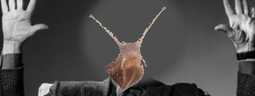 SNINEMA emote