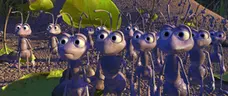 ants emote