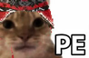 pe