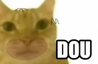 dou