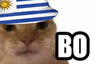 bo
