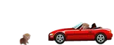 hitandrunbert