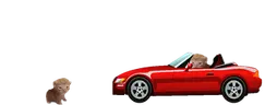 hitandrunbert emote