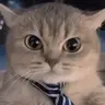 LOCKEDIN emote