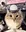 WEEWOOCAT