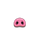 PiggyR