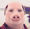 JP emote