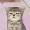 doidbonk emote