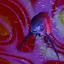 AirFishVibe