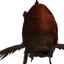 AirfishHUH
