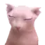 bingSleep