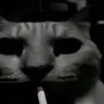 CatSmoke emote
